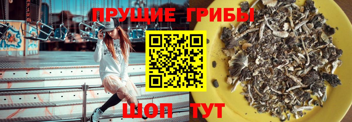 Псилоцибиновые грибы Cubensis  Псилоцибиновые грибы Cubensis  Вход с VPN  Бузулук 